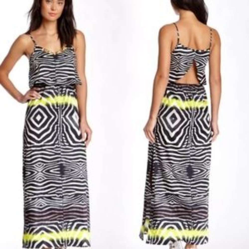 Line and Dot Zebra Open back dress